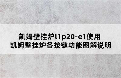 凯姆壁挂炉l1p20-e1使用 凯姆壁挂炉各按键功能图解说明